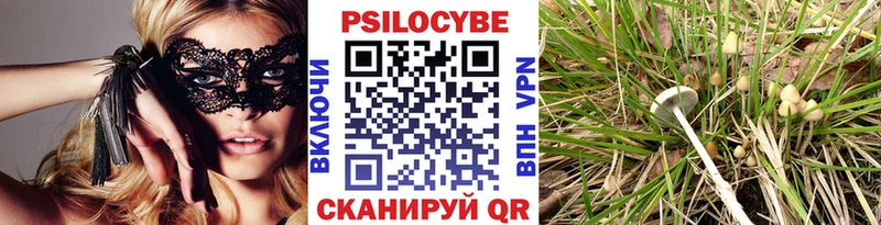 купить закладку Туран Галлюциногенные грибы Psilocybe